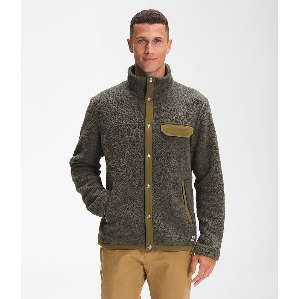 The North Face Fleece Jacket Mens Australia - The North Face Cragmont Snap Front Green (AQE-234059)